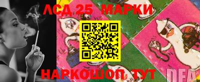 крисы Кунгур