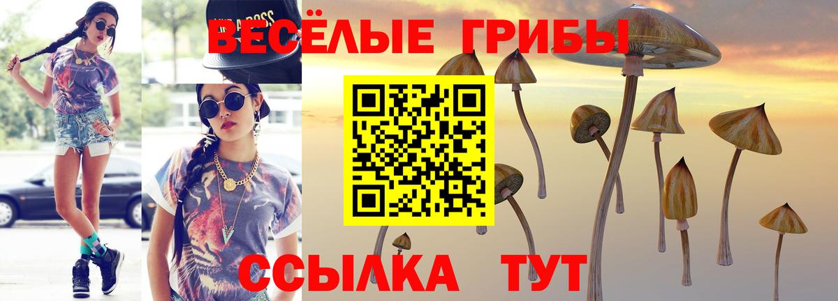Псилоцибиновые грибы ЛСД  Вход с VPN  Гусь-Хрустальный 